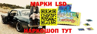 ешки Гай