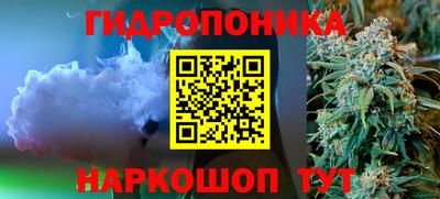 ешки Гай