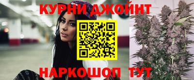 шишки Гагарин