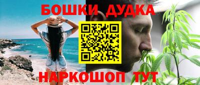 шишки Гагарин