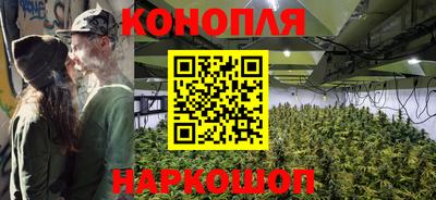 ешки Гай