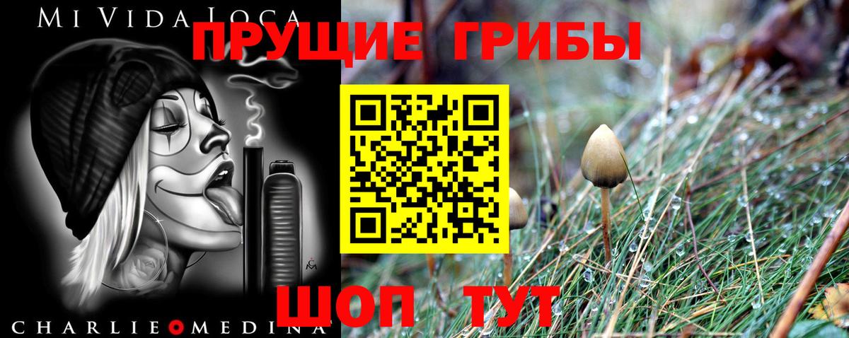 Ишимбай  Псилоцибиновые грибы Psilocybine cubensis  Галлюциногенные грибы мухоморы  Вход с VPN 