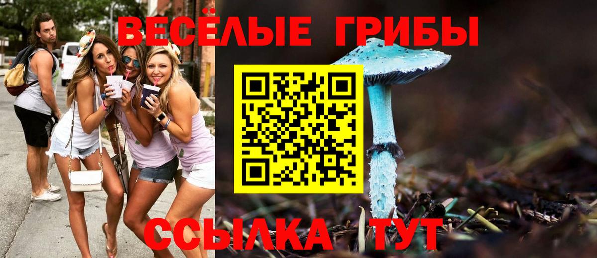 Псилоцибиновые грибы Magic Shrooms Ишимбай