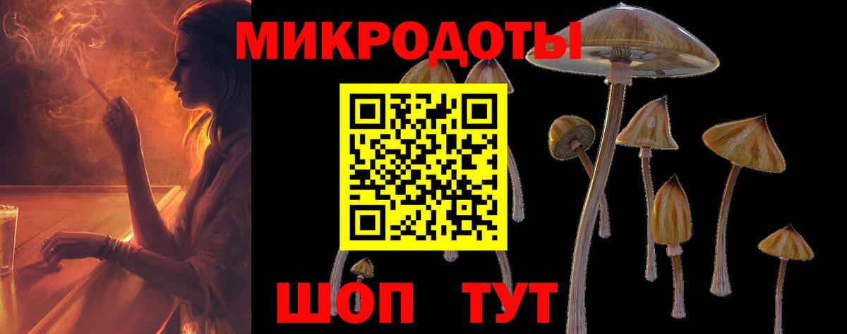 Псилоцибиновые грибы прущие грибы Ишимбай