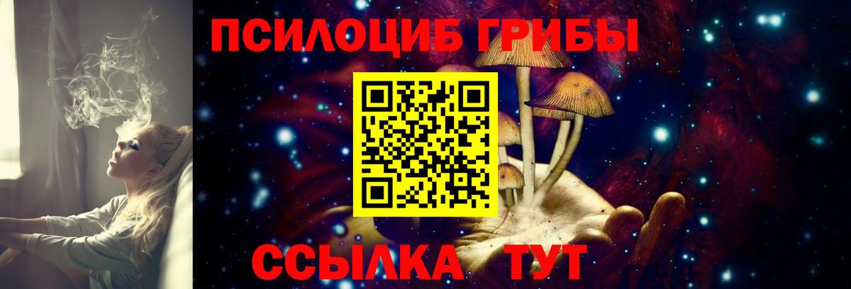 Галлюциногенные грибы прущие грибы  Ишимбай  Псилоцибиновые грибы мицелий 